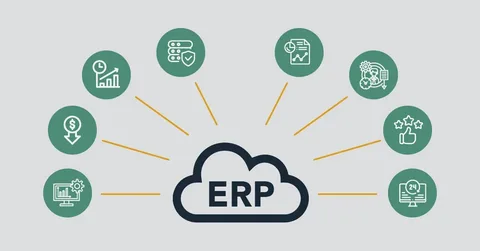 Cloud-Based ERP Systems